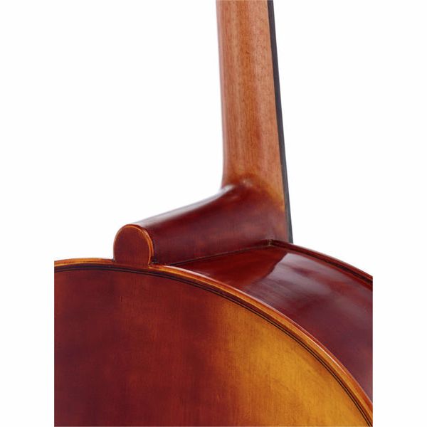 Détail 5 — Gewa Maestro 6 Cello 4/4