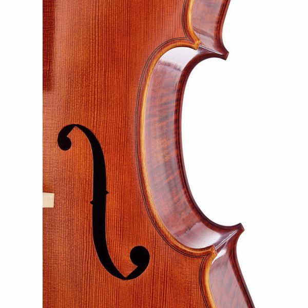 Détail 4 — Lothar Semmlinger No. 134 Cello 4/4