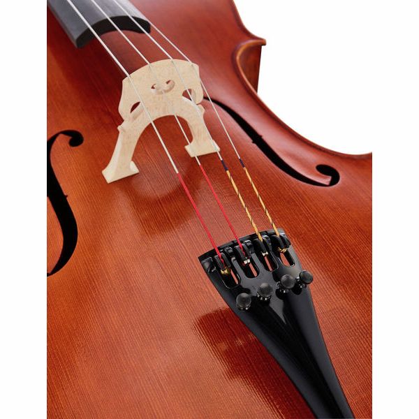 Détail 5 — Lothar Semmlinger No. 134 Cello 4/4