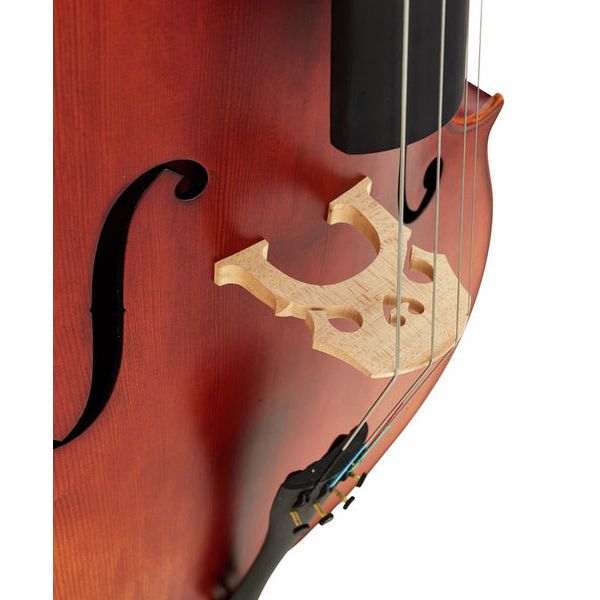 Détail 6 — Hidersine Studenti Cello Set 4/4