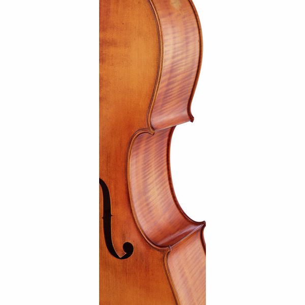 Détail 5 — Gewa Germania 11 Berlin Antik Cello
