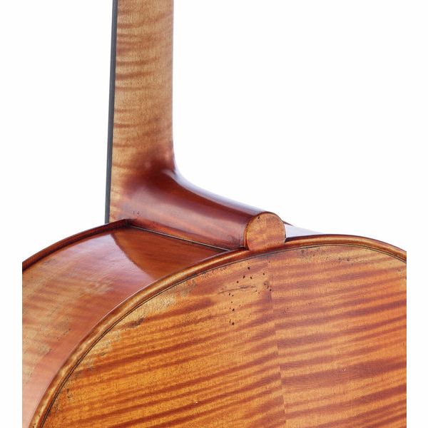 Détail 8 — Gewa Germania 11 Berlin Antik Cello