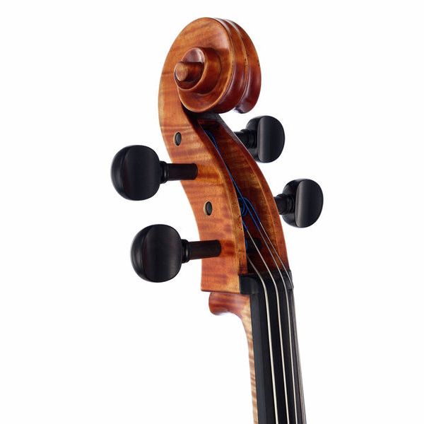 Détail 9 — Gewa Germania 11 Berlin Antik Cello