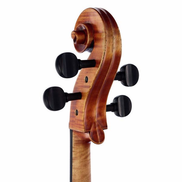 Détail 10 — Gewa Germania 11 Berlin Antik Cello