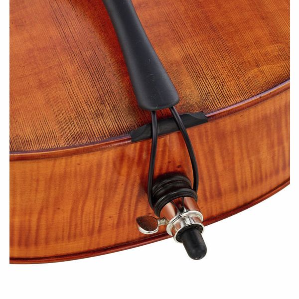 Détail 7 — Gewa Germania 11 Berlin Antik Cello
