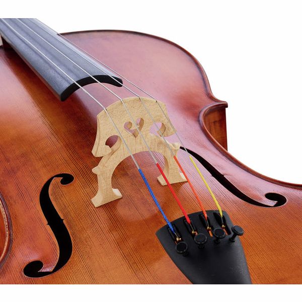 Détail 6 — Gewa Germania 11 Berlin Antik Cello
