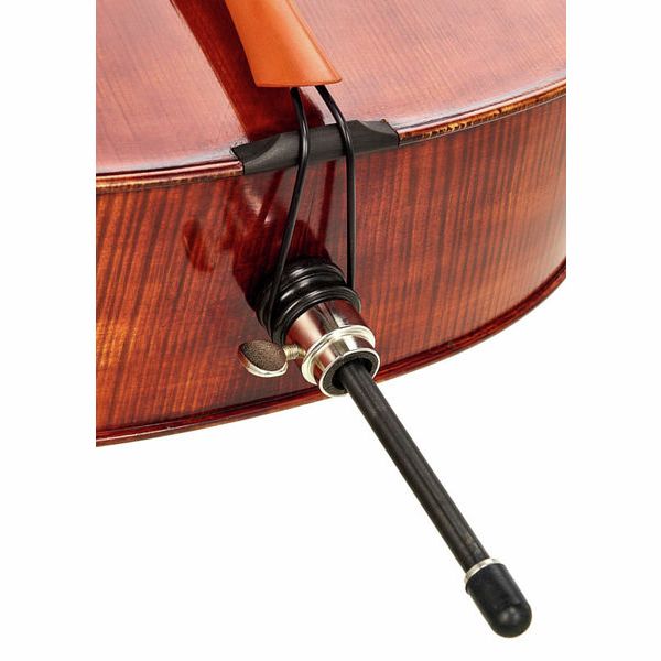 Détail 7 — Rainer W. Leonhardt No. 60/2 Master Cello 4/4