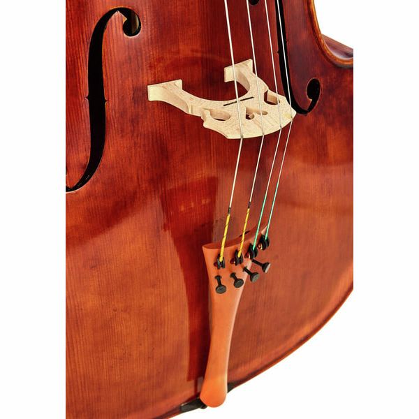 Détail 3 — Rainer W. Leonhardt No. 60/2 Master Cello 4/4