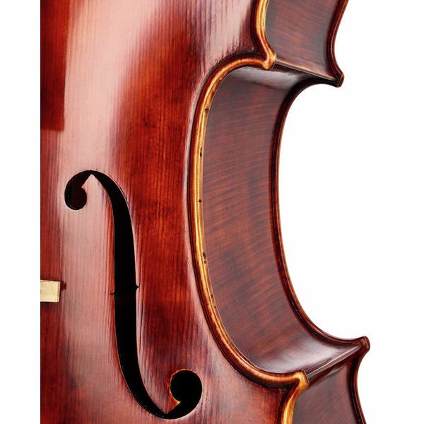 Détail 6 — Rainer W. Leonhardt No. 60/2 Master Cello 4/4