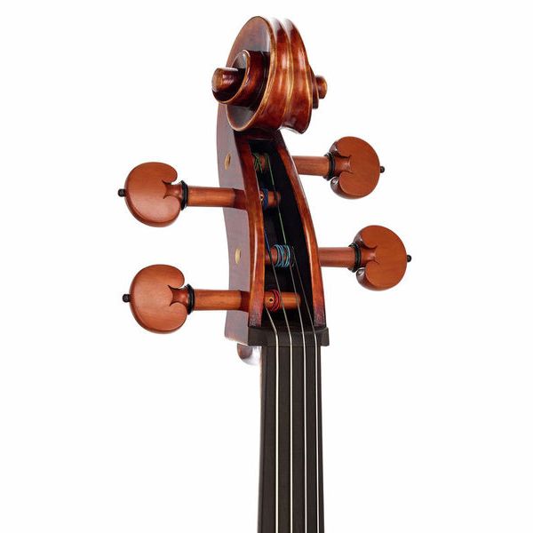 Détail 8 — Rainer W. Leonhardt No. 60/2 Master Cello 4/4