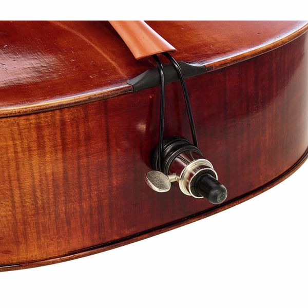 Détail 5 — Rainer W. Leonhardt No. 60/2 Master Cello 4/4