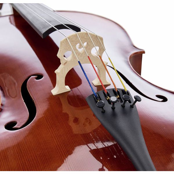 Détail 5 — Gewa Maestro 6 Cello 7/8