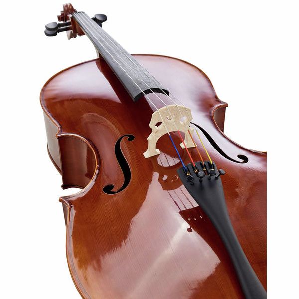 Détail 4 — Gewa Maestro 6 Cello 7/8