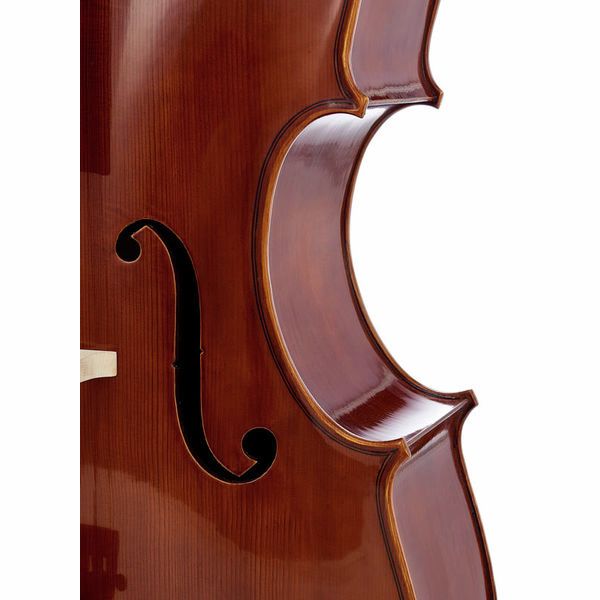 Détail 7 — Gewa Maestro 6 Cello 7/8