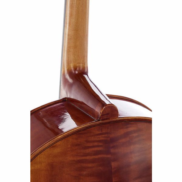 Détail 9 — Gewa Maestro 6 Cello 7/8