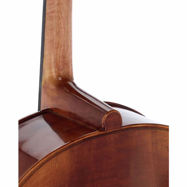 Détail 9 — Gewa Maestro 6 Lefthanded Cello 4/4