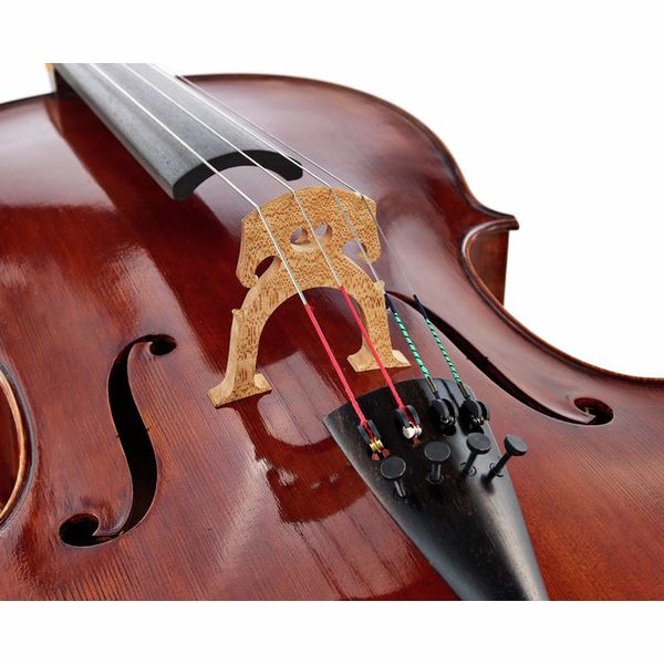 Détail 8 — Scala Vilagio PSH03 Concert Cello Guarneri