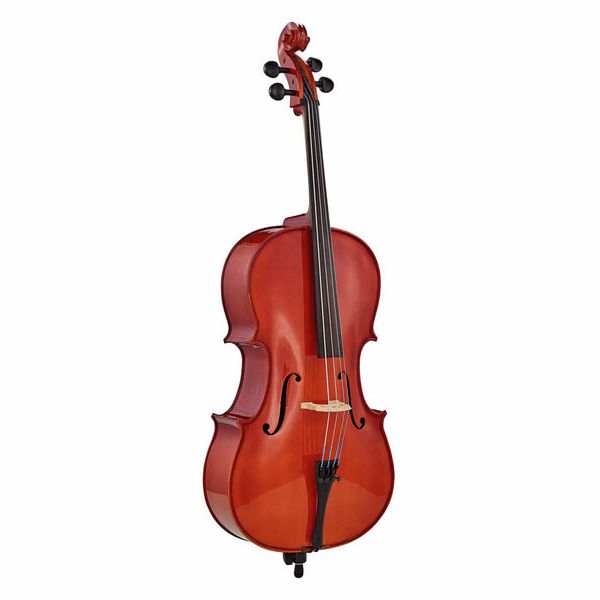 Détail 2 — Roth & Junius RJC Cello Set 1/4
