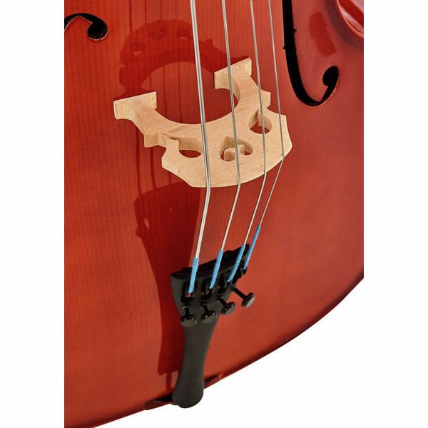 Détail 5 — Roth & Junius RJC Cello Set 1/4