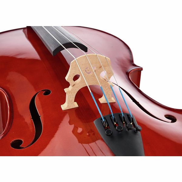 Détail 2 — Roth & Junius RJC Cello Set 4/4