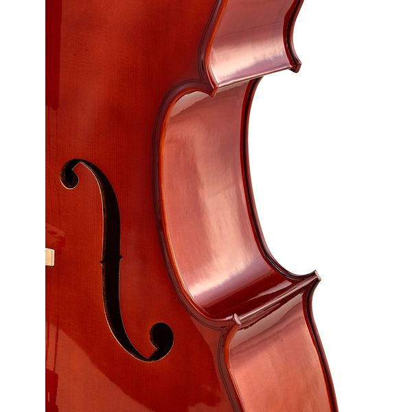Détail 10 — Roth & Junius RJC Cello Set 4/4