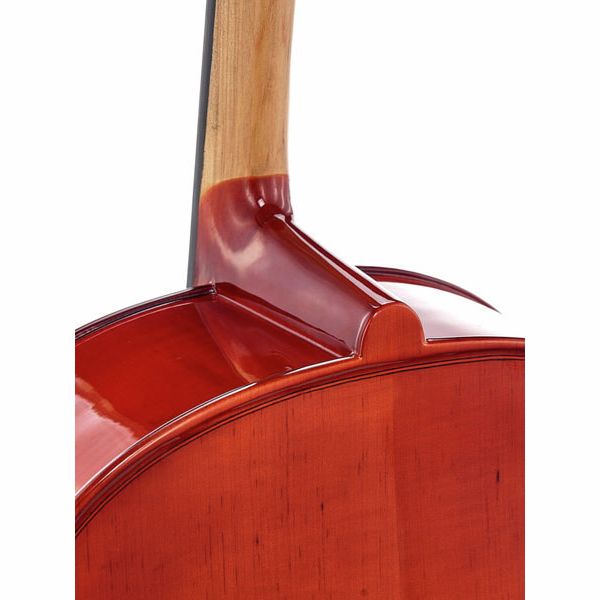 Détail 6 — Roth & Junius RJC Cello Set 3/4