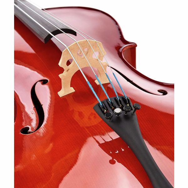 Détail 8 — Roth & Junius RJC Cello Set 3/4