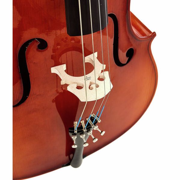 Détail 7 — Roth & Junius Europe 4/4 Student Cello Set