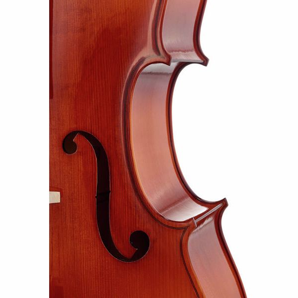Détail 6 — Roth & Junius Europe 4/4 Student Cello Set