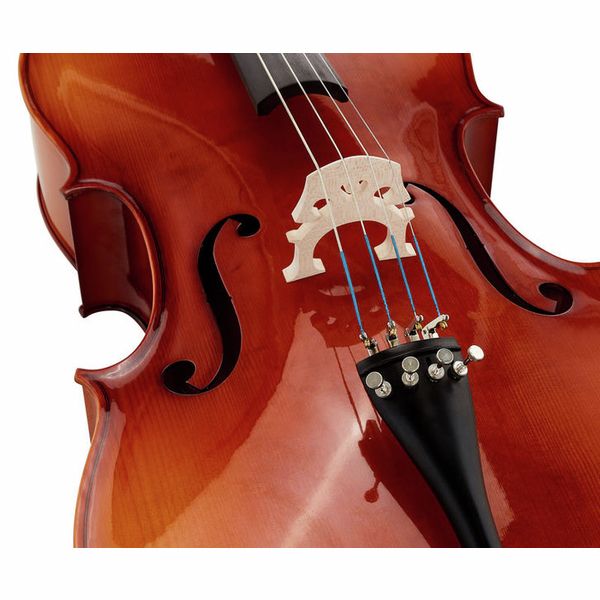 Détail 5 — Roth & Junius Europe 4/4 Student Cello Set