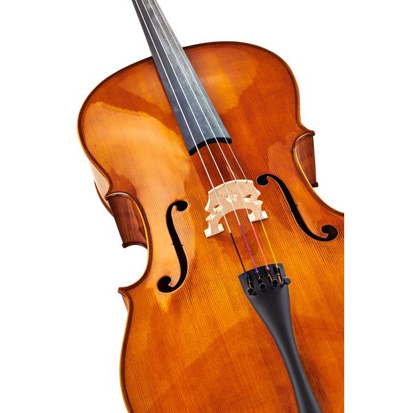 Détail 4 — Gewa Georg Walther Concert Cello GA