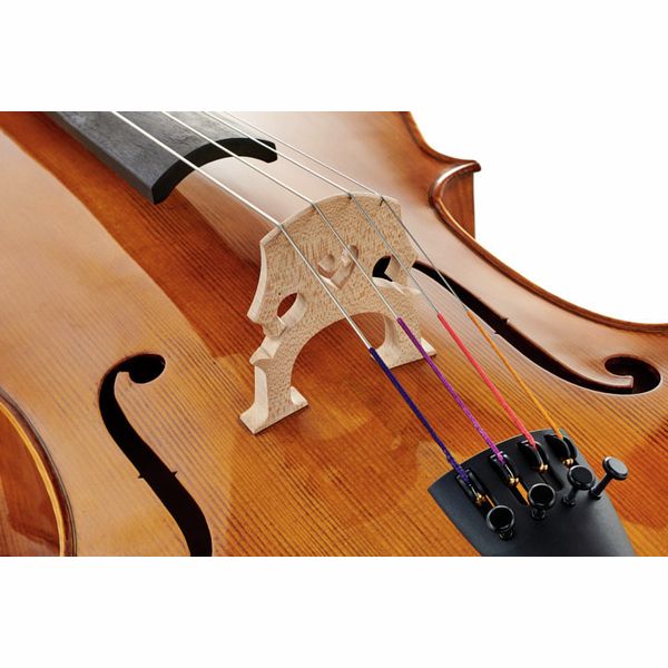 Détail 5 — Gewa Georg Walther Concert Cello GA
