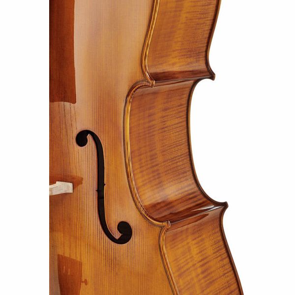 Détail 6 — Gewa Georg Walther Concert Cello GA