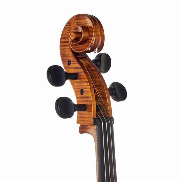 Détail 10 — Gewa Georg Walther Concert Cello GA