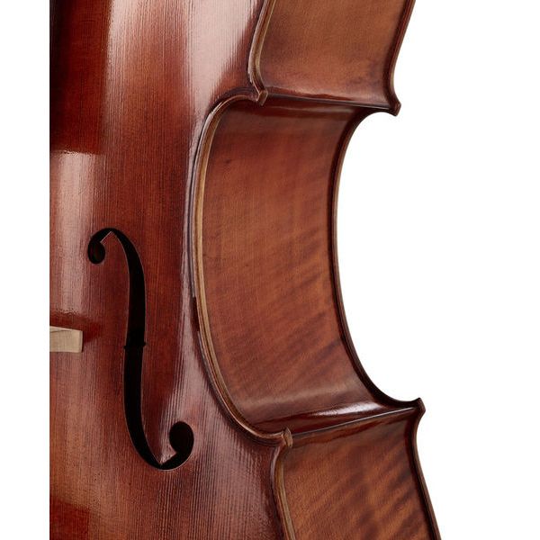 Détail 6 — Gewa Germania 11L Berlin Ant. Cello