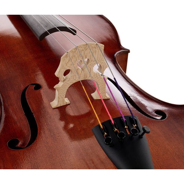 Détail 5 — Gewa Germania 11L Berlin Ant. Cello