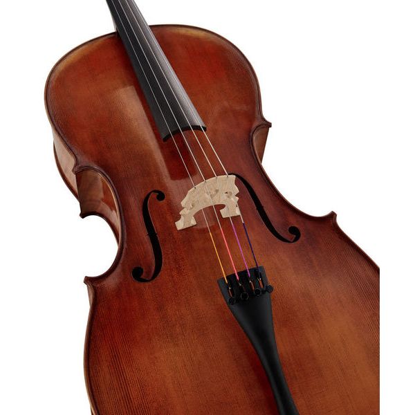 Détail 4 — Gewa Germania 11L Berlin Ant. Cello