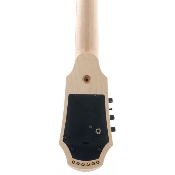 Détail 3 — NS Design CR6-CO-PB Poplar Burl Cello