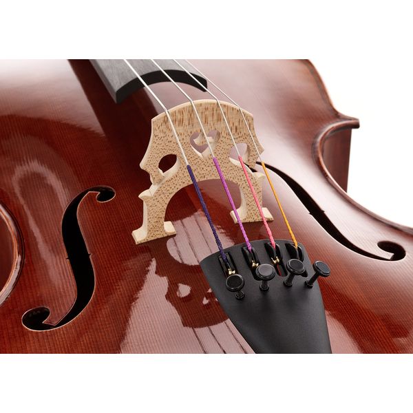 Détail 5 — Gewa Maestro 31 Cello 7/8