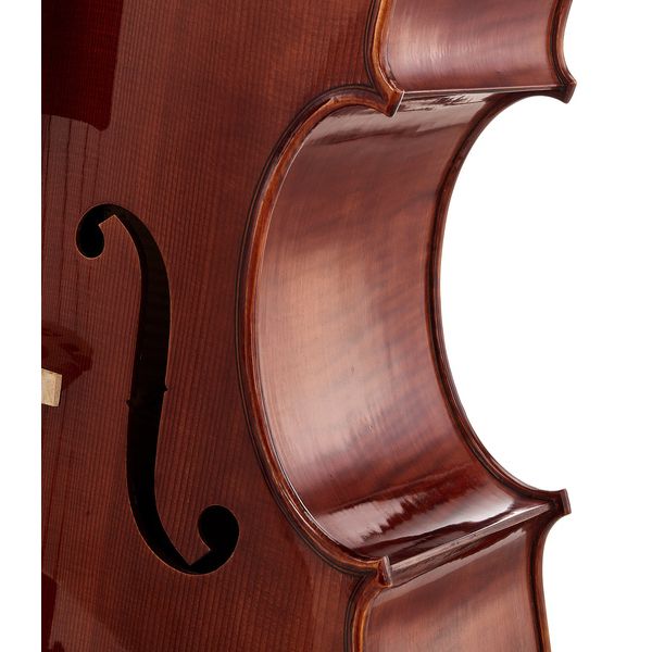 Détail 8 — Gewa Maestro 31 Cello 7/8