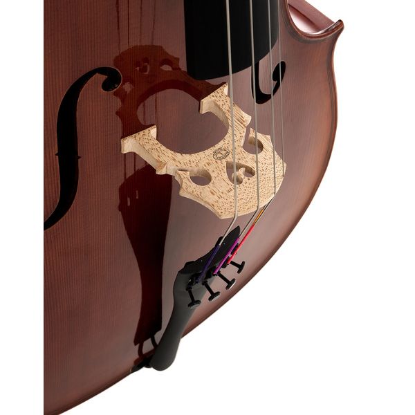 Détail 7 — Gewa Maestro 31 Cello 7/8