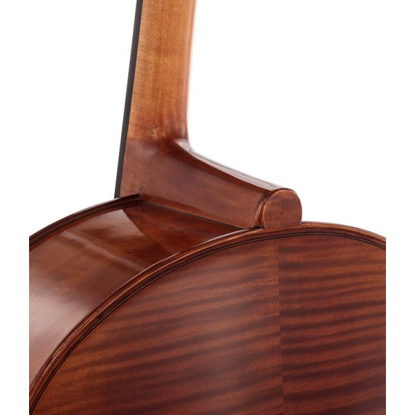Détail 9 — Gewa Maestro 31 Cello 7/8