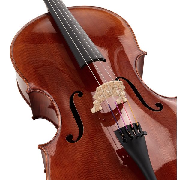 Détail 4 — Gewa Maestro 31 Cello 7/8