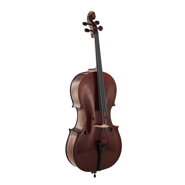 Détail 2 — Scala Vilagio Bohemia Student Cello 4/4