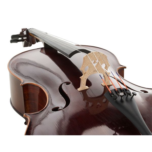 Détail 4 — Scala Vilagio Bohemia Student Cello 4/4