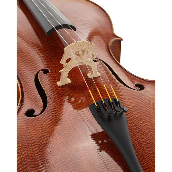 Détail 5 — Scala Vilagio Bohemia Performance Cello 4/4