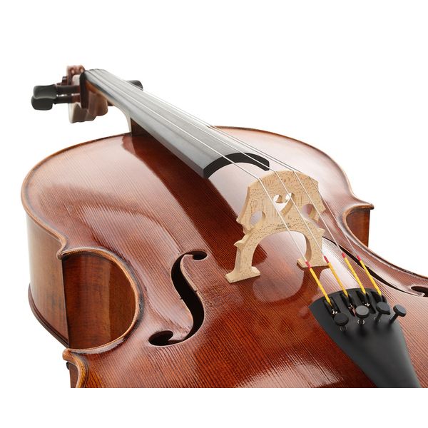 Détail 4 — Scala Vilagio Bohemia Performance Cello 4/4