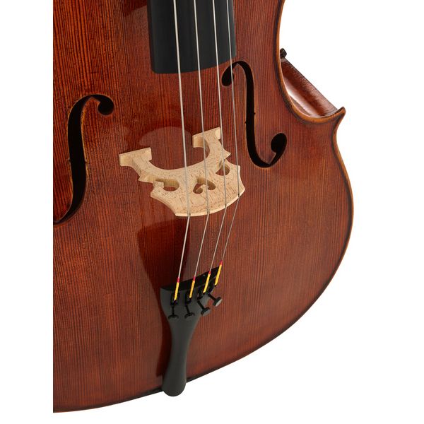 Détail 6 — Scala Vilagio Bohemia Performance Cello 4/4