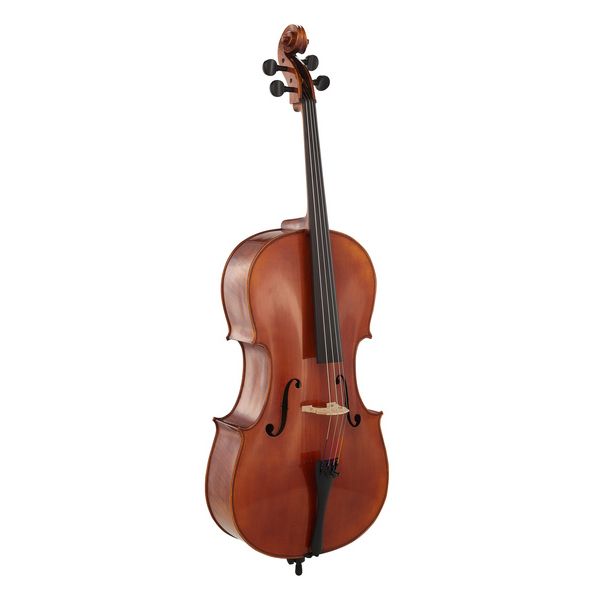 Détail 2 — Gewa Maestro 31 Cello 4/4
