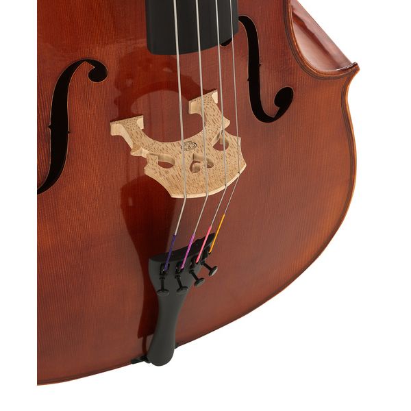 Détail 6 — Gewa Maestro 31 Cello 4/4